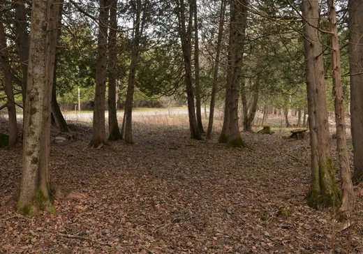 Land for Sale - 1 Av. des Arpents-Verts, Stukely, J0E 2J0