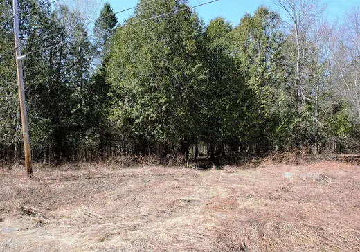 Land for Sale - 1 Av. des Arpents-Verts, Stukely, J0E 2J0