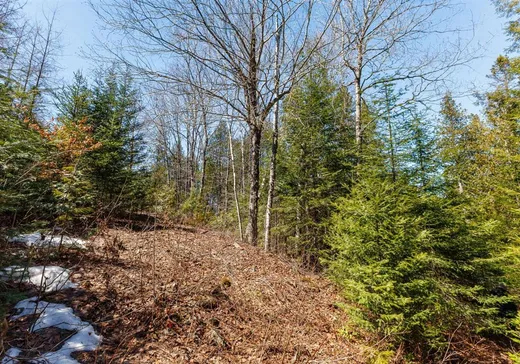 Terrain à vendre - 134 Ch. de la Rive, Hull, J0X 2C0
