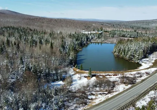 Land for sale - 101 Route 212, Notre-Dame-Des-Boies, J0B2E0