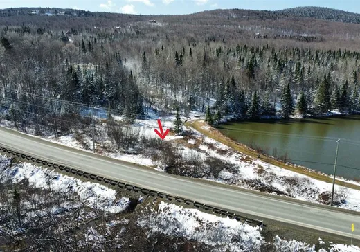 Land for Sale - 101 Route 212, Notre-Dame-Des-Boies, J0B 2E0