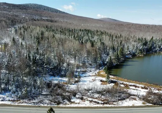 Land for Sale - 101 Route 212, Notre-Dame-Des-Boies, J0B 2E0