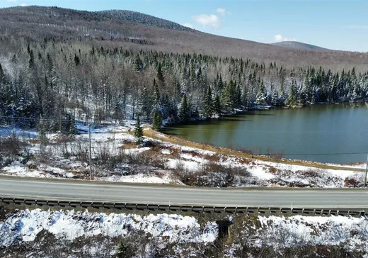 Land for Sale - 101 Route 212, Notre-Dame-Des-Boies, J0B 2E0