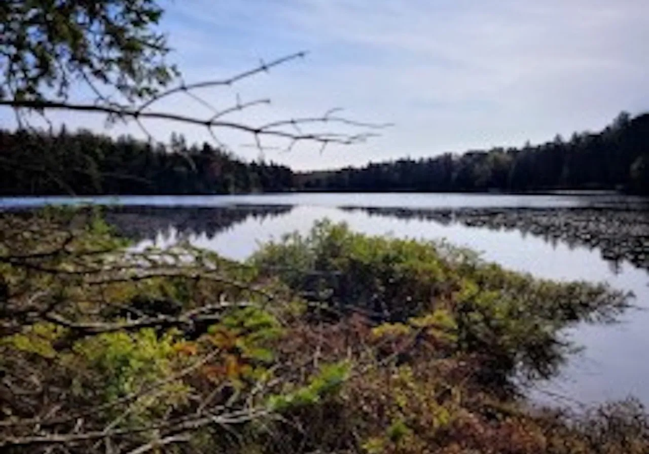 Ch. du Lac-Bélanger — photo 1