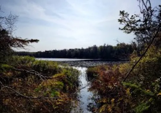 Terrain à vendre -  Ch. du Lac-Bélanger, Wentworth, J0T 1Y0