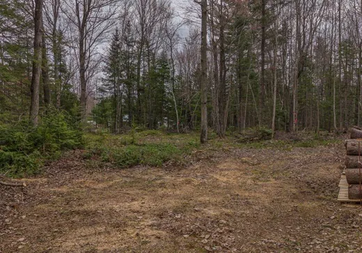 Land for Sale - 144 Rue Parent, Saint-Adalbert, J0A 1E0