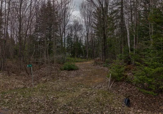 Land for Sale - 144 Rue Parent, Saint-Adalbert, J0A 1E0
