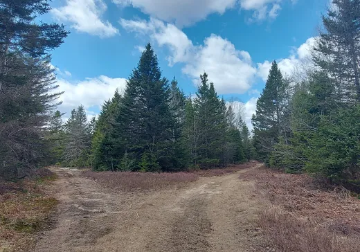 Land for sale -  Ch. de Kiamika, Mont-Laurier, J0W1J0