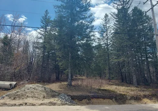 Land for Sale -  Ch. de Kiamika, Mont-Laurier, J0W 1J0