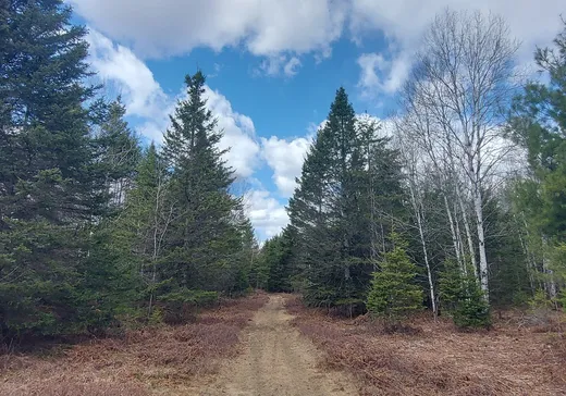 Land for Sale -  Ch. de Kiamika, Mont-Laurier, J0W 1J0