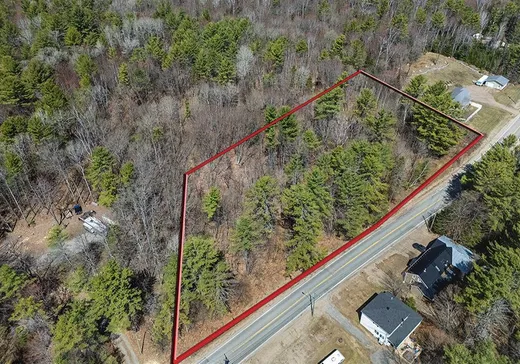 Land for sale - 441 Rue Prince-Arthur, Otter Lake, J0X2P0