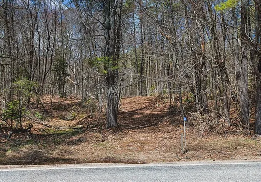 Land for Sale - 441 Rue Prince-Arthur, Otter Lake, J0X 2P0
