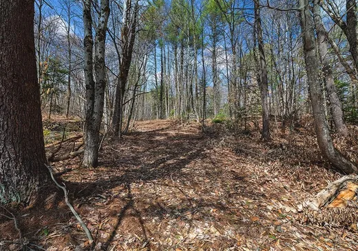Land for Sale - 441 Rue Prince-Arthur, Otter Lake, J0X 2P0