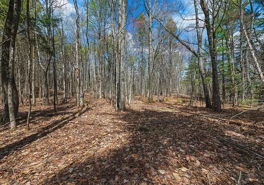 Land for Sale - 441 Rue Prince-Arthur, Otter Lake, J0X 2P0