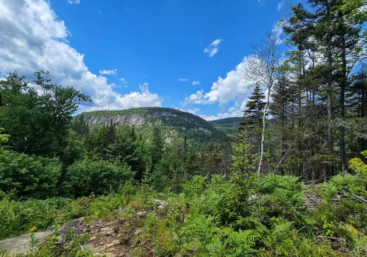 Land for sale - 1 Rue St-Joseph, Bergeronnes, G0T1G0
