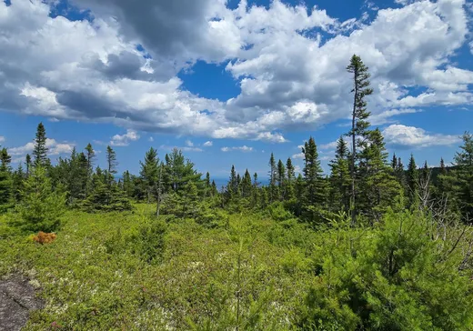 Land for Sale - 1 Rue St-Joseph, Bergeronnes, G0T 1G0