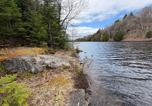 Land for Sale -  Ch. Benny, Saint-Sauveur, J0R 1A0