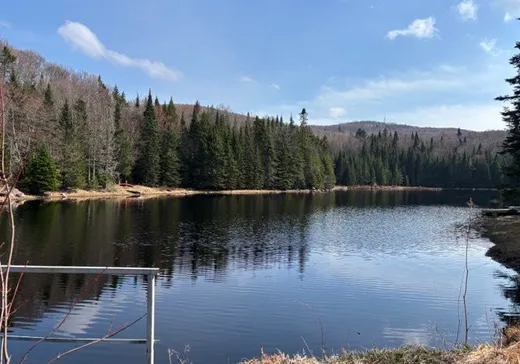 Land for Sale -  Ch. de Chamonix, St-Adolphe d'Howard, J0T 2B0