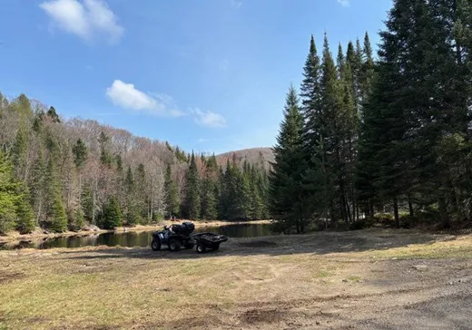 Land for Sale -  Ch. de Chamonix, St-Adolphe d'Howard, J0T 2B0