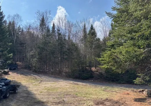 Land for Sale -  Ch. de Chamonix, St-Adolphe d'Howard, J0T 2B0