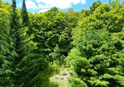 Terrain à vendre - X Ch. de l'Auberge, Racine, J0E 1Y0