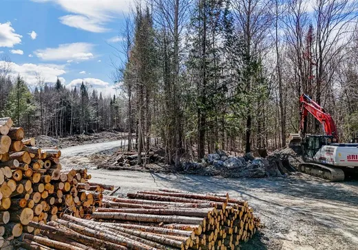 Land for Sale - 419 Ch. George-Bonnallie, App. 4, Eastman, J0E 1P0