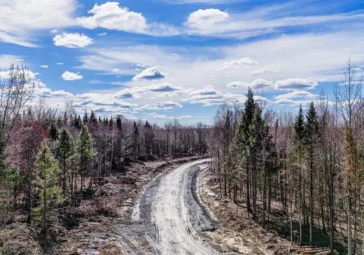 Land for Sale - 419 Ch. George-Bonnallie, App. 66, Eastman, J0E 1P0