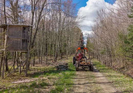 Terrain à vendre - 484 12e Rang O., Plessisville, G6L5L1