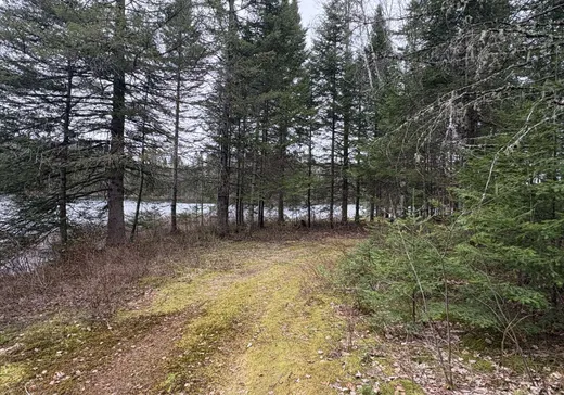 Land for Sale -  Ch. du Lac-Kiamika, Rivière-Rouge, J0T 1T0