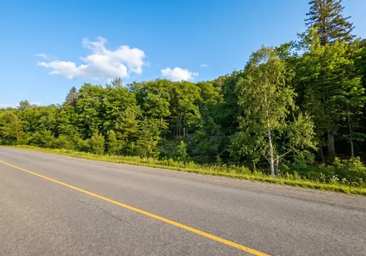 Land for Sale -  Ch. de la Montagne, Sainte-Agathe-des-Monts, J8C 0J6
