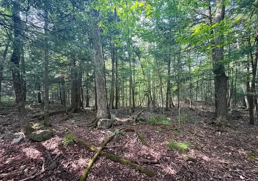 Land for Sale - 11 Ch. Peerless, Chelsea, J9B 0G4