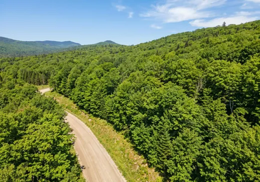 Land for Sale -  Ch. Desjardins, Val-des-Lacs, J0T 2P0