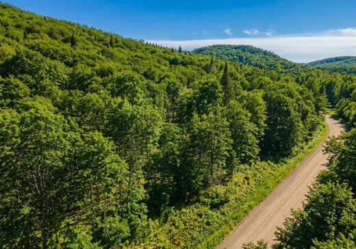 Land for Sale -  Ch. Desjardins, Val-des-Lacs, J0T 2P0