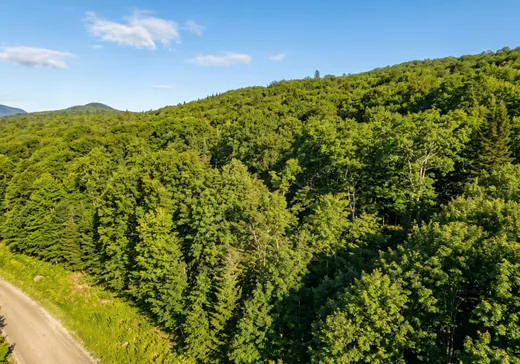Land for Sale -  Ch. Desjardins, Val-des-Lacs, J0T 2P0
