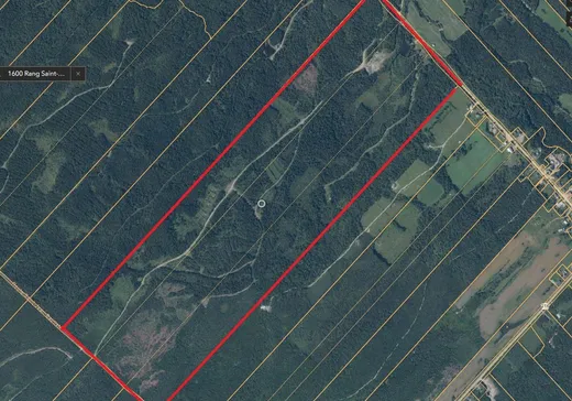 Land for Sale - 1600 Rg St-Roch, Notre-Dame-Auxiliatrice-de-Buckland, G0R 1G0