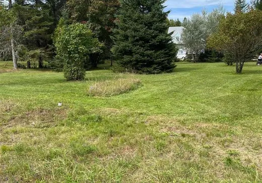 Terrain à vendre - 294 Mtée Kiamika, Rivière-Rouge, J0T 1T0