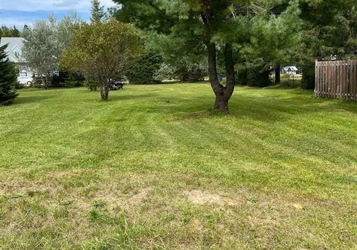Terrain à vendre - 294 Mtée Kiamika, Rivière-Rouge, J0T 1T0