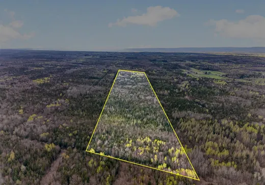 Land for Sale - 305Z Rg St-Lazare, St-Apollinaire, G0S 2E0