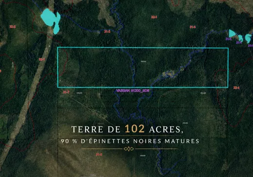 Land for Sale -  Rue Non Disponible-Unavailable, Val-d'Or, J9P 0C1