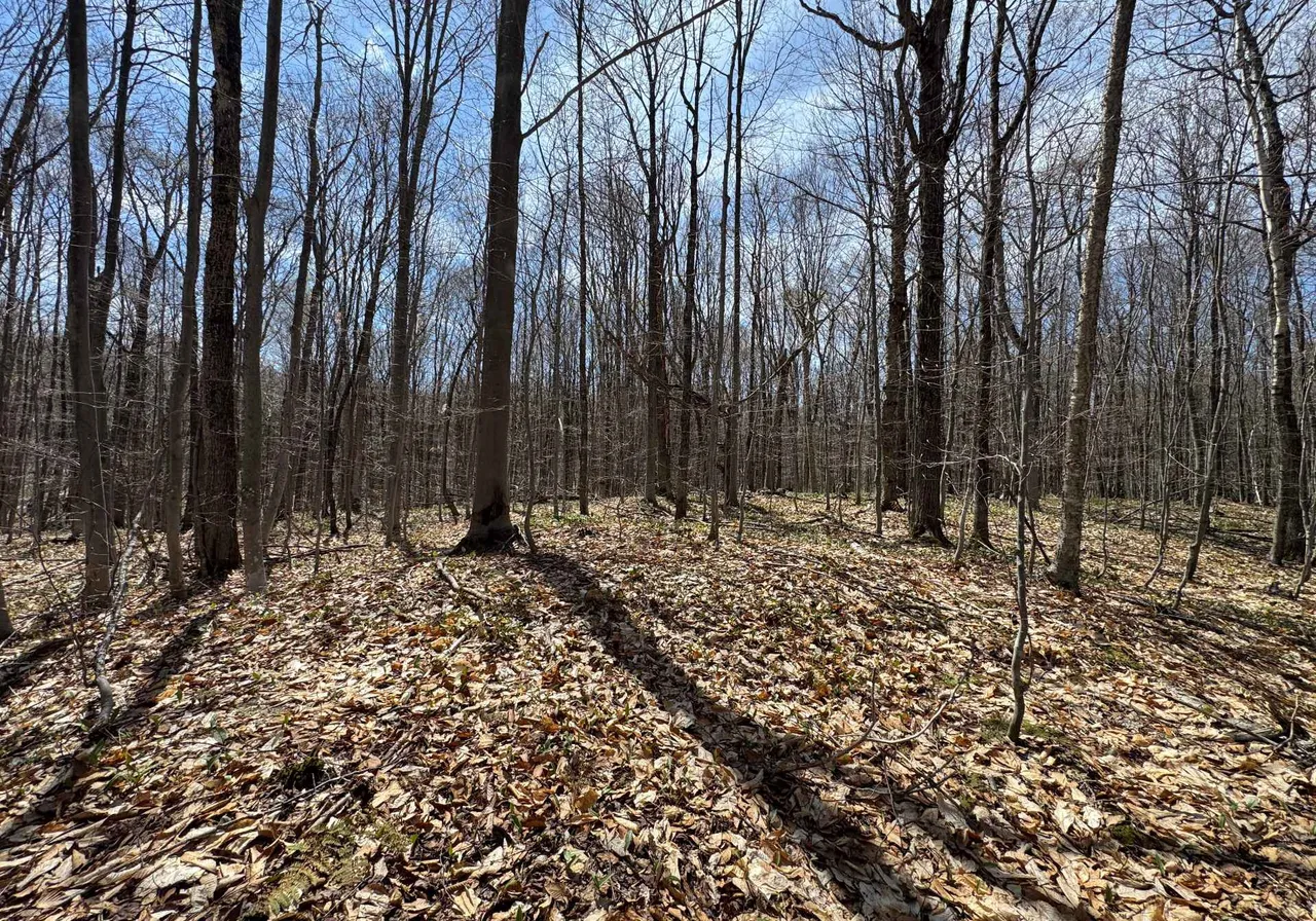Ch. du Lac-Fiddler — photo 1