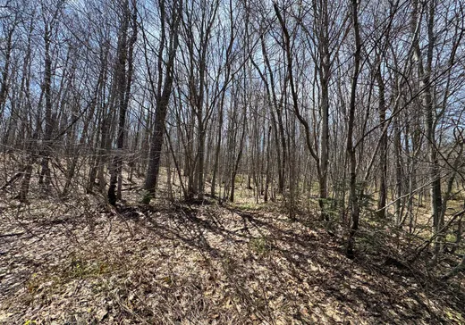 Land for Sale -  Ch. du Lac-Fiddler, Saint-Sauveur, J0R 1A0