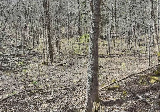 Land for Sale - 5 Rue Damien-Venne, St-Come, J0K 2B0