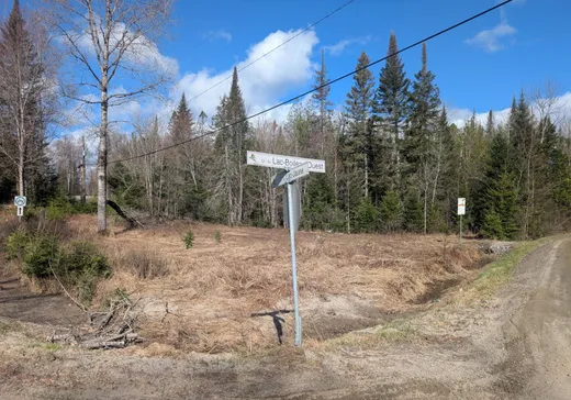 Land for Sale -  Ch. du Lac-Jaune, Rivière-Rouge, J0T 1T0