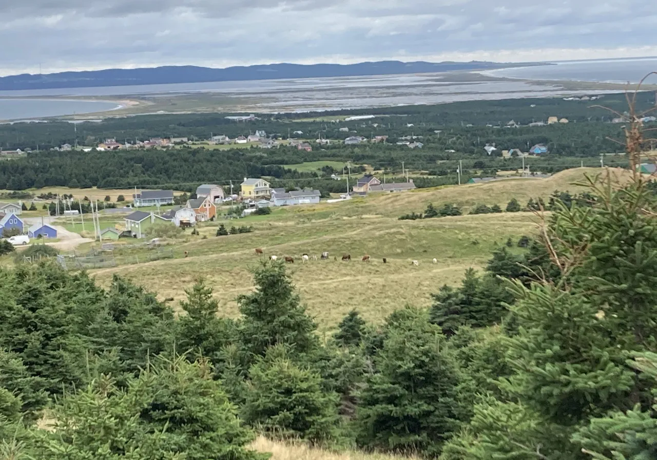 O Ch. de l'Étang-du-Nord — photo 1