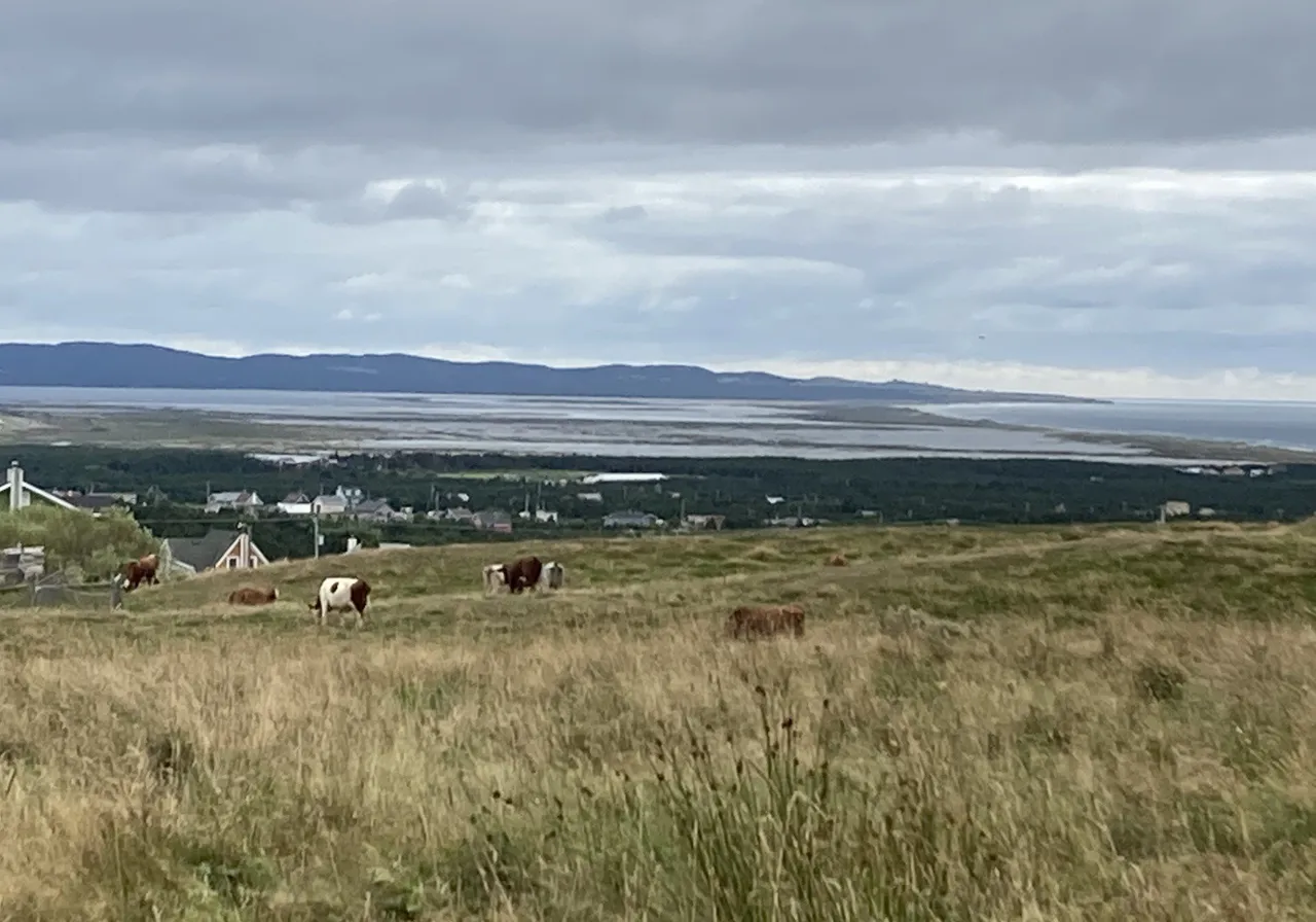 O Ch. de l'Étang-du-Nord — photo 2