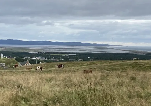 Land for Sale - O Ch. de l'Étang-du-Nord, L'Étang-du-nord Îles-de-la-Madeleine, G4T 3C4