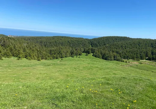 Land for Sale - O Ch. des Arsènes, Iles de la Madeleine, G4T 2V7
