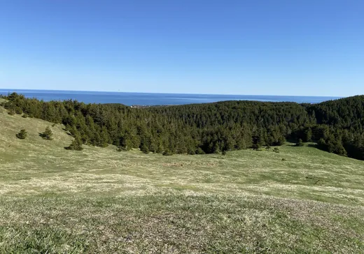 Land for Sale - O Ch. des Arsènes, Iles de la Madeleine, G4T 2V7