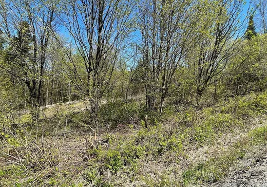 Land for Sale - Y Rue Principale, Ste-Helene-de-Chester, G0P 1H0