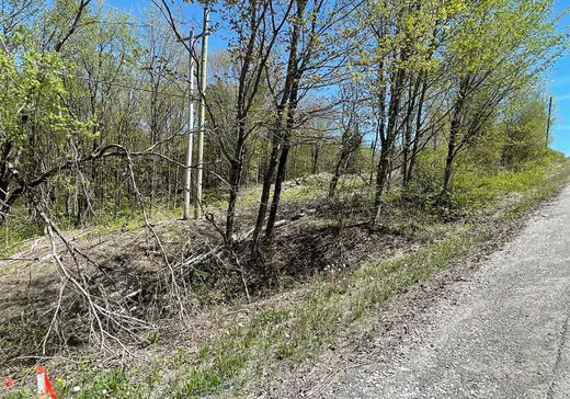 Land for Sale - Y Rue Principale, Ste-Helene-de-Chester, G0P 1H0